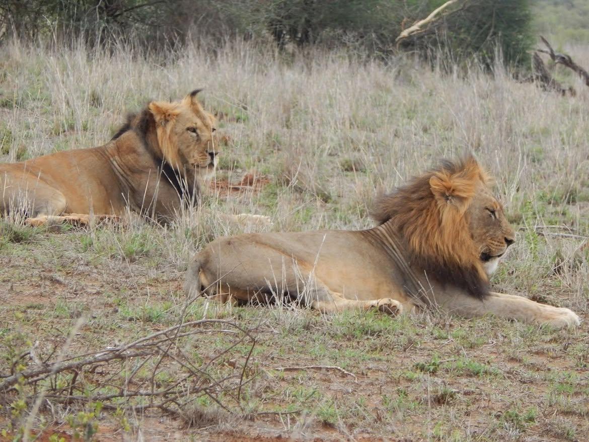 Mpala Research Centre and conservation landscape in Laikipia